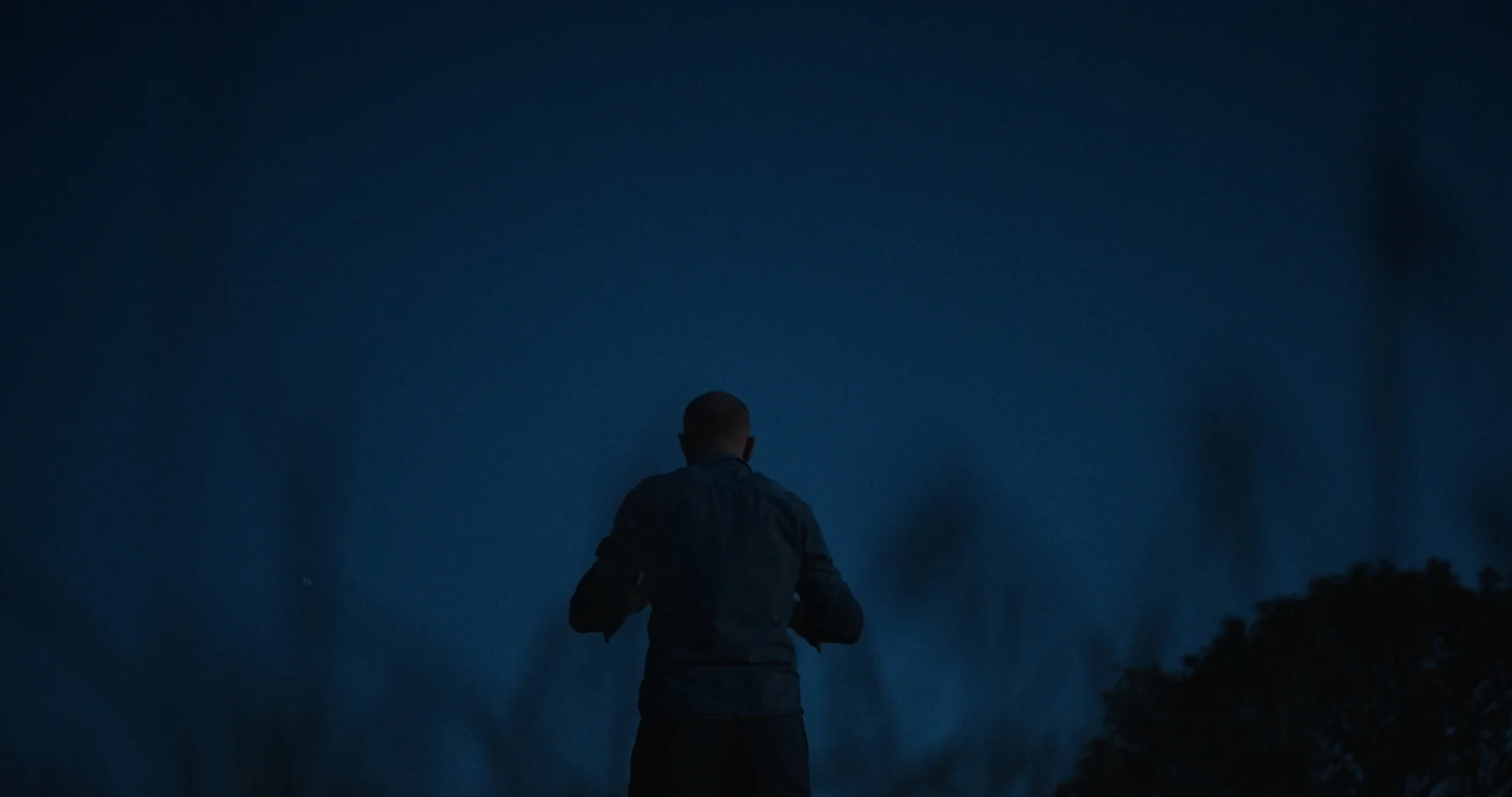 A person standing beneath a deep blue evening sky